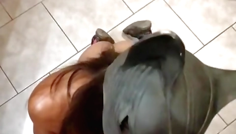 Indian deepthroat porn scene with two girls in a threesome