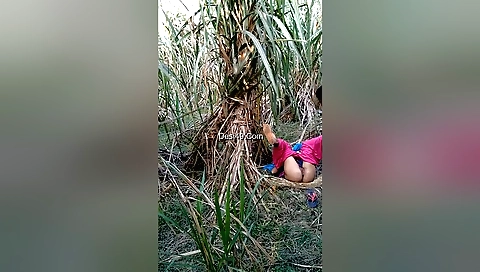 Amateur outdoor fuck vid of brunette woman and husband 3d