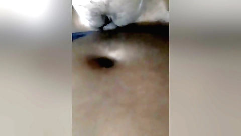 Indian girl in bra and panties enjoys a passionate sex video