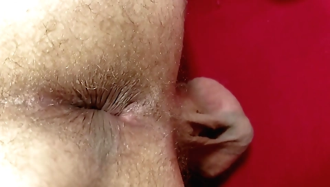 Indian sex video featuring a couple of kinky sex sessions